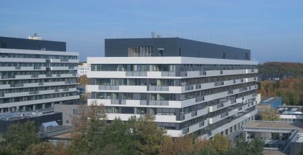 Ib440