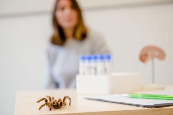 Neuropsychologie_Extinktionslernen_KM-49